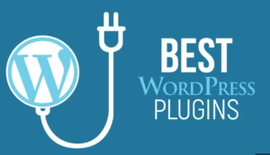 Read more about the article What are different types of WordPress plugins