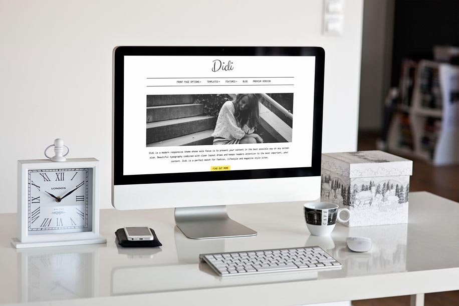 Read more about the article Didi Lite: A Lightweight Fashion for Your WordPress Blog